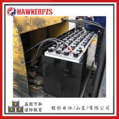 HAWKERPZS叉车电池5PzS300配套合力QYD40S牵引车用48V300AH电池组