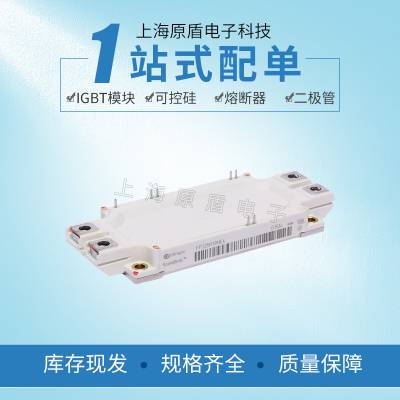 ϺӦӢBSM100GB170DLCģ