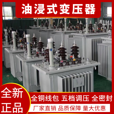 1250kvaǾϽѹ sh15-1250kva/10-0.4Ǿѹ-˫