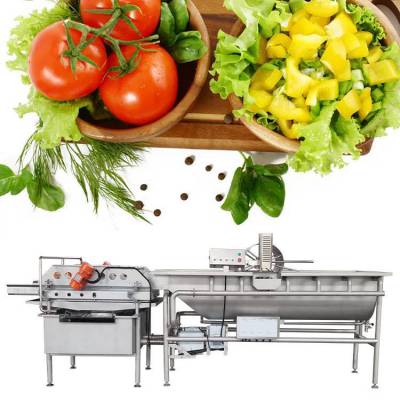 大型蔬菜清洗机JY-4200预制菜菠菜青菜清洗设备 食堂洗菜机