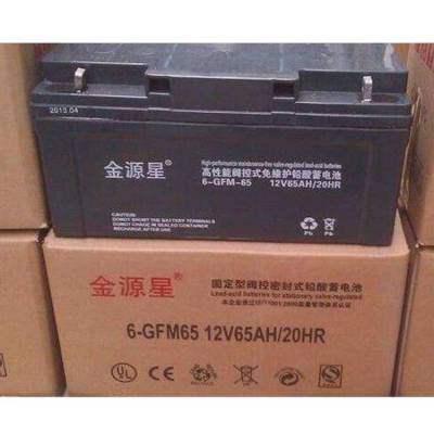 金源星蓄电池6-GFM-65 12V6***H光伏发电 直流屏 通讯设备 UPS电源