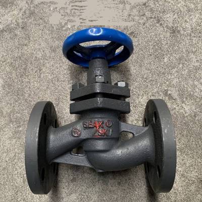  װʽˮƽװ U41SM-16P DN65 304