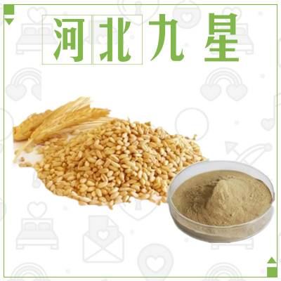 食品级小麦膳食纤维 小麦提取物营养强化剂