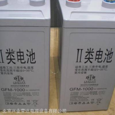 ˫GFM-1000/2V1000AH