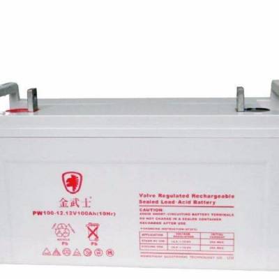 ʿPW100-12 12V100AHʽάǦUPS EPSר Ҵ۸