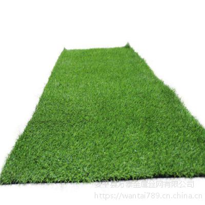 深绿色三针草 塑料草坪 万泰刷胶草坪