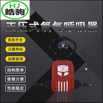 上海皓驹厂家 HYZ4(HYZ2) 正压式氧气呼吸器 便携式氧气呼吸器 氧气呼吸器价格