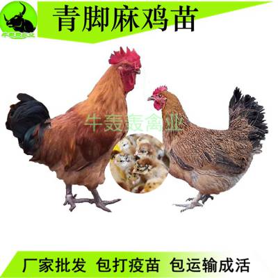 2020ռ۸ʿ鼦ȫÿո