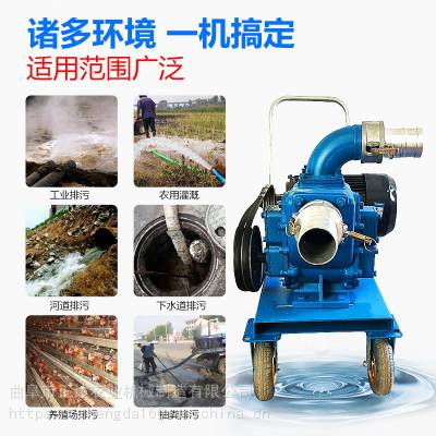 抽粪水泵价格 推车好移动抽猪粪泵 远距离输送抽污泵