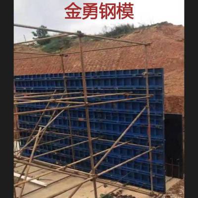 发电站钢模板 钢制涵洞模具 供应 新