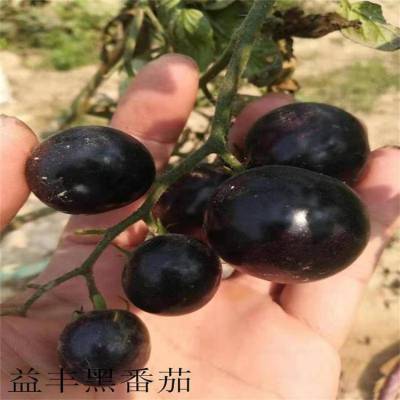 ӽf1ڷ 25ƷڷӺ