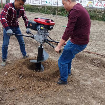 锦佳手提式大棚埋桩机 安徽省蚌埠市汽油植树挖坑机价格