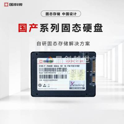 国科微国产固态硬盘M.2 2280接口D1XC1T1S327Y4MW0，1TSSD，XT6121主控