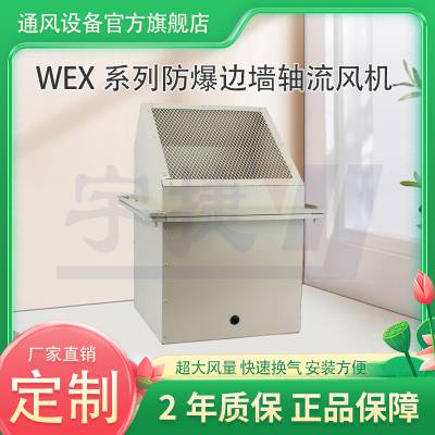 防爆型边墙排风机 安装便捷 工厂车间低噪声边墙式排风设备 可定制