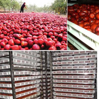 天元高温热泵大枣脱水干燥设备