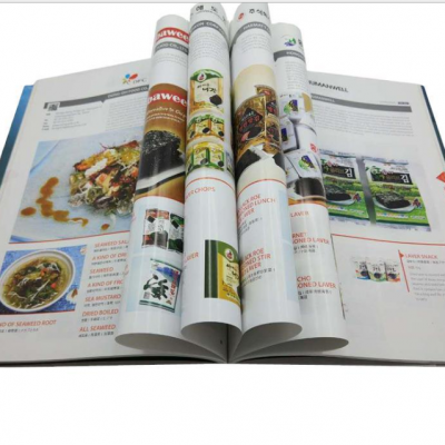 深圳培训艺术学校图册设计 舞蹈培训图册设计 冰淇淋图册设计印刷