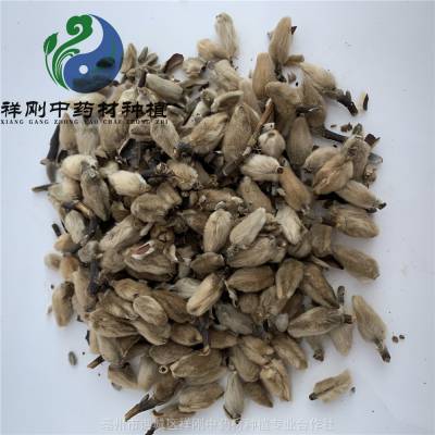 辛夷花药用用法及用量 木兰花药用有什么药效