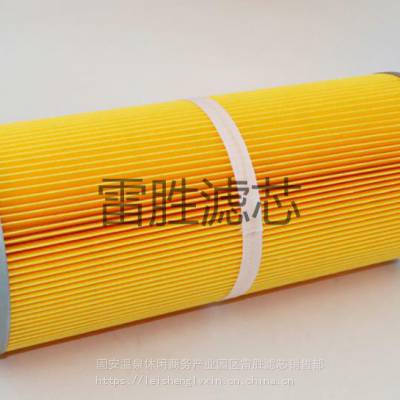聚酯纤维覆膜防静电滤筒 除尘滤芯 雷胜 滤芯滤筒