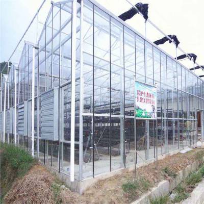 葡萄种植大棚建设 抗风防雪 苏 州拱形温室厂家 鲁苗