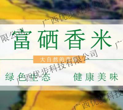 湖北本地象州温泉 来电咨询 广西优步科技供应