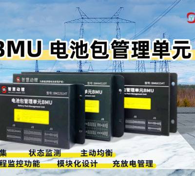 品牌BMS费用 深圳智慧动锂电子股份供应