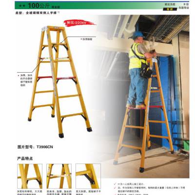 ���� WERNER/���� T3906CN ȫ������˫��������