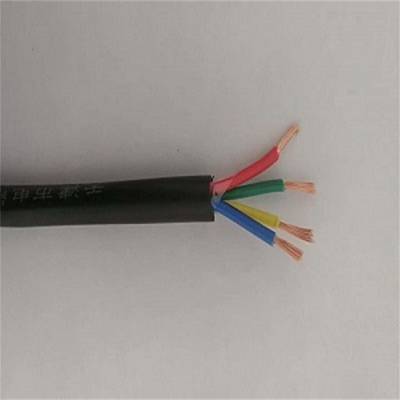 WDZB-KYYR-24*1.0电缆