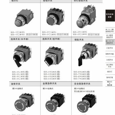 K16-922H KACON凯昆K16/K12/K08系列颜色R,G,Y,B,W,K蘑菇头按扭开关