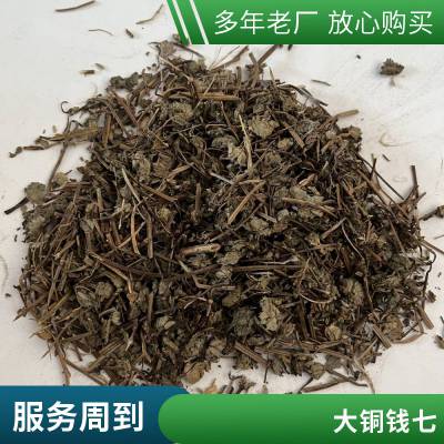 正宗药材宝盖草 无硫中药材珍珠莲 原材料接骨草出售