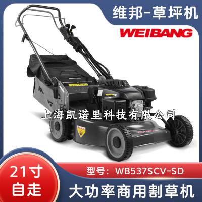 άWB537SCV-SDƺݻ 21߸ֵ̲ƺ󼯲