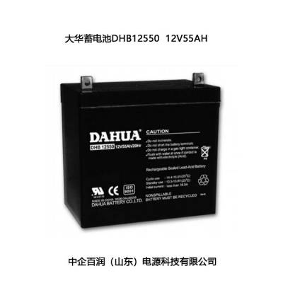 DAHUA蓄电池DHB12550大华12V55AH/20HR铅酸免维护 UPS电源配套