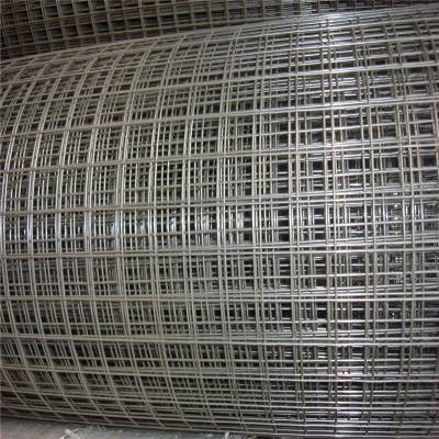 30丝电焊网 绿色铁丝网报价 pvc电焊网批发