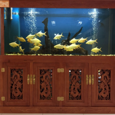 昆明家庭生态鱼缸定做公司 云南鲸涛水族鱼缸海鲜池定制供应