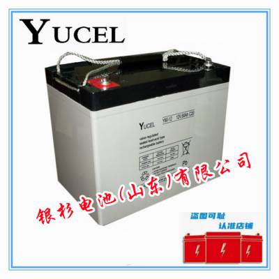 ӢYUCELY60-12UPSԴ ϵͳ12V-60AHǦ