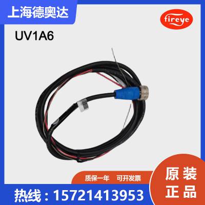 美国Fireye火检UV电眼紫外火焰探测器UV1A6