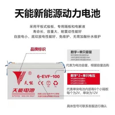 原装天能蓄电池12V60AH 阀控免维护6-EVF-60A蓄电池全国发货