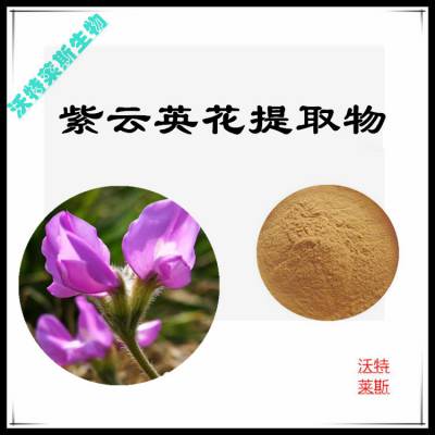 紫云英花提取物10:1 速溶粉 喷雾干燥 沃特莱斯生物 棕黄色粉末