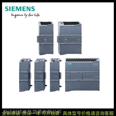 SIEMENS模块6ES72883 AM03/06 AQ/AE/AR/AT02 04 08-0AA0