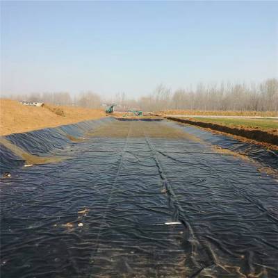 1.9mm厚HDPE土工膜土工合成材料 垃圾覆盖膜施工要求 润业土工