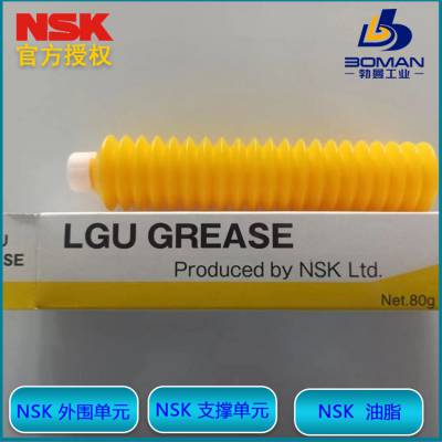 油脂嘴HGP NZ3 NSK压入式注油嘴 管装润滑脂适用于 φ3油嘴专用