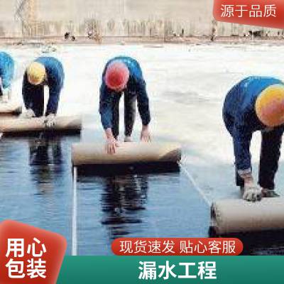 白云 区外墙卫生间渗水补漏 屋顶防水堵漏 施工快捷