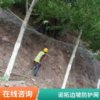 主动边坡防护网 隧道公路防护安全钢丝绳网绞索网 厂家供应