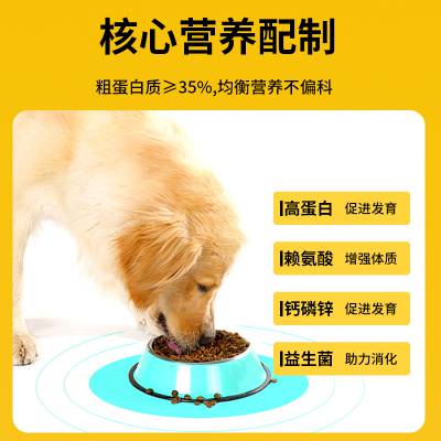 全犬期通用全价犬粮宠乐宝鸡肉味狗粮型泰迪比熊柯基边牧德牧金毛柯基拉布拉面多萨摩耶贵宾专用