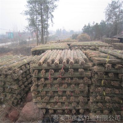 优质2.5米菜架竹批发 江西竹竿厂家发货