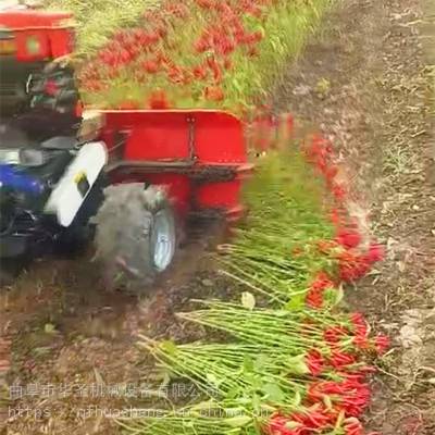 芦苇杆收割机 柴油小型益母草收割机 手扶佩兰割晒机