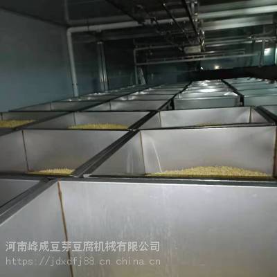 洛阳豆芽生产线设备厂家供应