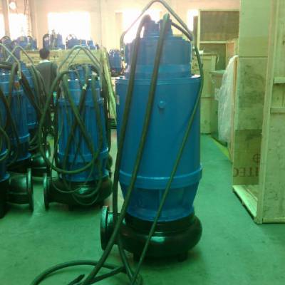 南京蓝深WQ10-10-1潜污泵自动耦合安装