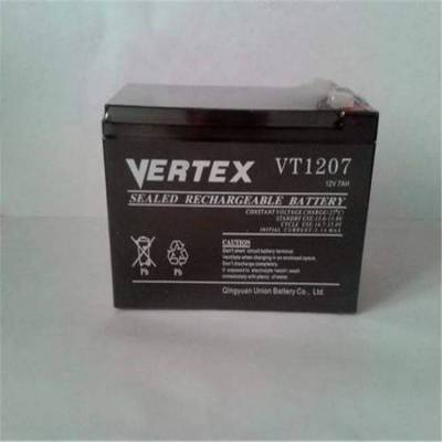 VERTEX蓄电池VT1238 12V38AH总经销商