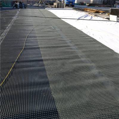 山东临沂市屋顶绿化园林车库凹凸型塑料排水板