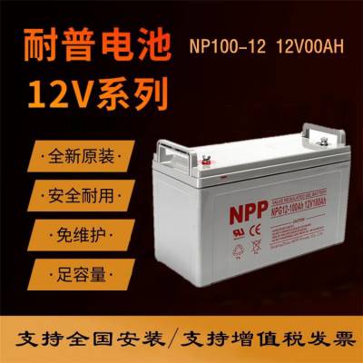 NP12-100 12V100AHʽǦUPSԴ/ֱ/